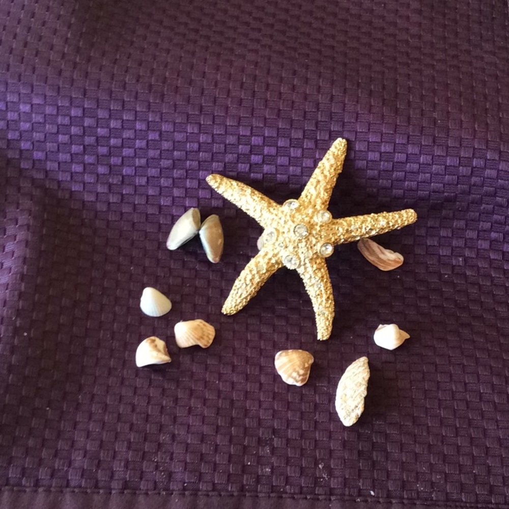 Vintage STARFISH ⭐️ with bling brooch Starfish PIN